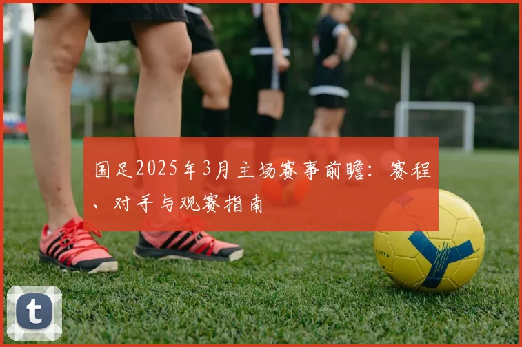 国足2025年3月主场赛事前瞻：赛程、对手与观赛指南