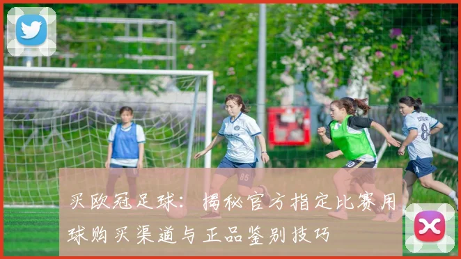买欧冠足球:揭秘官方指定比赛用球购买渠道与正品鉴别技巧